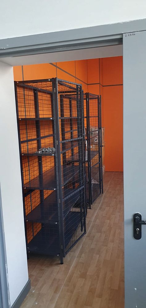 СОШ на 1100 мест, г. Звенигород